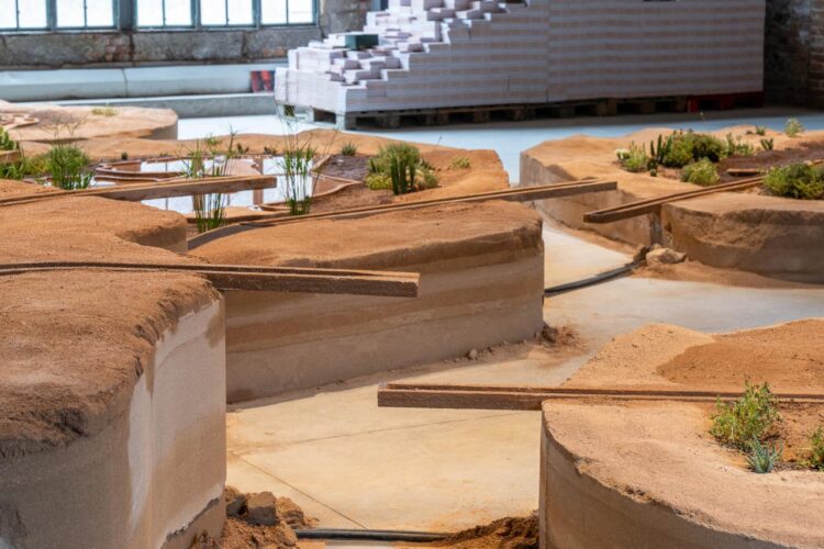 Venice Biennale Highlights Adaptation