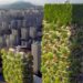 Nanjing Vertical Forest Promotes Biodiversity